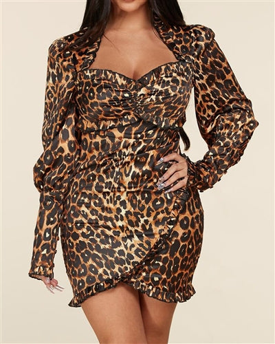 Animal Print Dress