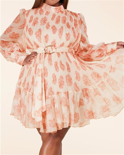 Belted Floral Print Plus Size Dress