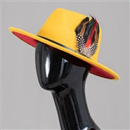Two-Toned Feather Fedora Hat